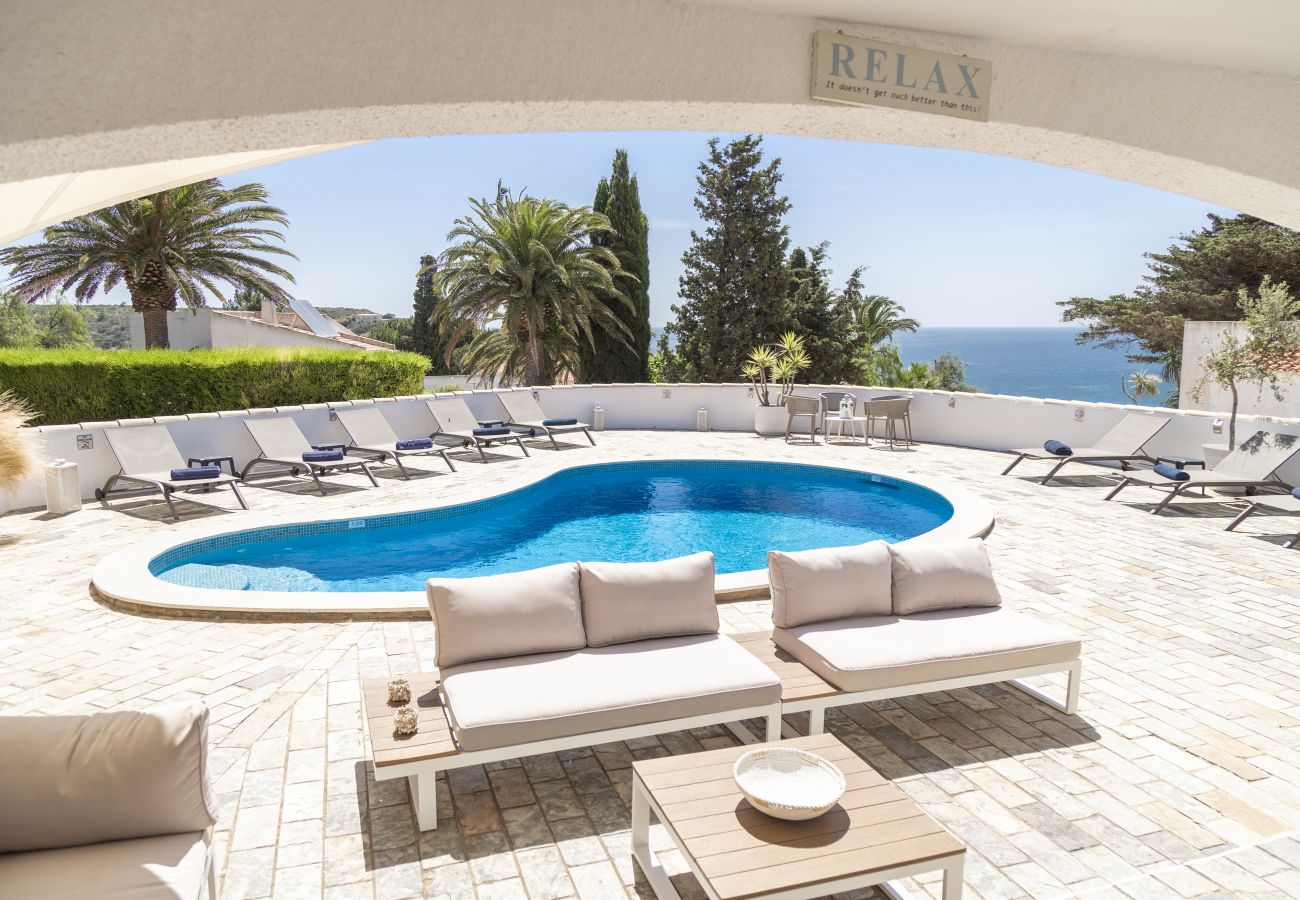 Piscine chauffée et espace détente face à l'océan Piscine chauffée avec ses transats et son espace détente face à l'océan